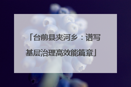 台前县夹河乡：谱写基层治理高效能篇章