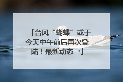 台风“蝴蝶”或于今天中午前后再次登陆！最新动态→