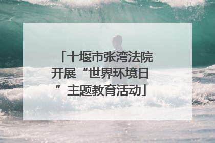 十堰市张湾法院开展“世界环境日”主题教育活动