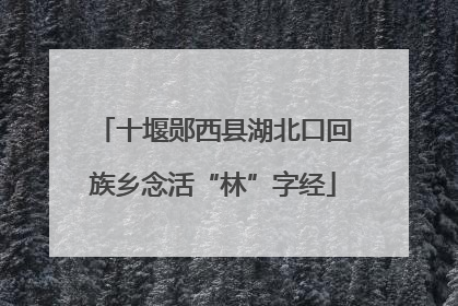 十堰郧西县湖北口回族乡念活“林”字经