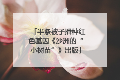半条被子播种红色基因《沙洲的“小树苗”》出版