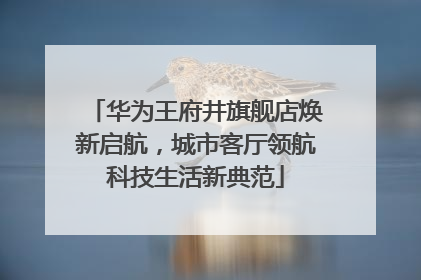 华为王府井旗舰店焕新启航，城市客厅领航科技生活新典范