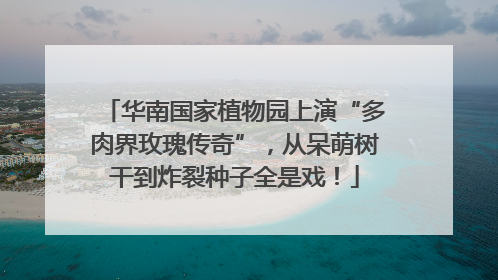 华南国家植物园上演“多肉界玫瑰传奇”，从呆萌树干到炸裂种子全是戏！