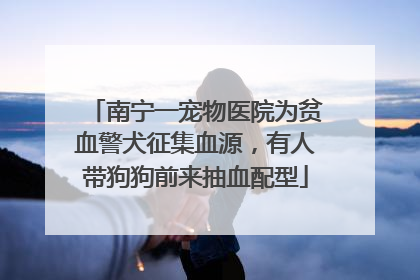 南宁一宠物医院为贫血警犬征集血源，有人带狗狗前来抽血配型
