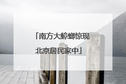 南方大蟑螂惊现北京居民家中