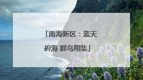 南海新区：蓝天碧海 群鸟翔集