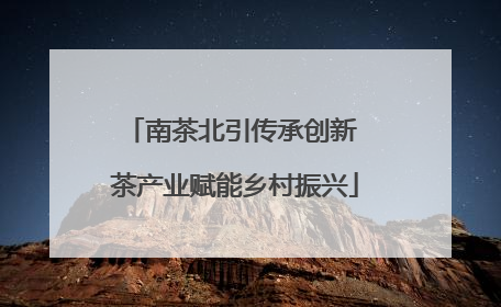 南茶北引传承创新 茶产业赋能乡村振兴