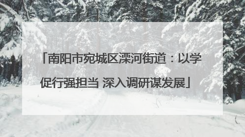 南阳市宛城区溧河街道：以学促行强担当 深入调研谋发展