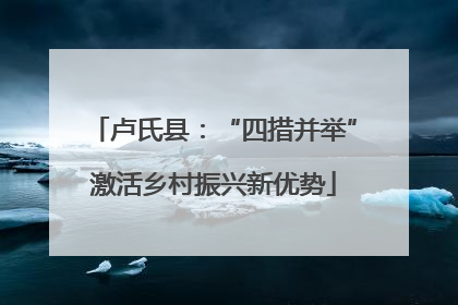 卢氏县：“四措并举”激活乡村振兴新优势