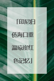 印尼归侨海口重温琼崖红色记忆