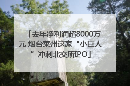 去年净利润超8000万元 烟台莱州这家“小巨人”冲刺北交所IPO