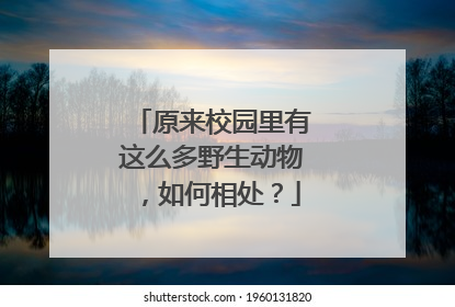 原来校园里有这么多野生动物，如何相处？