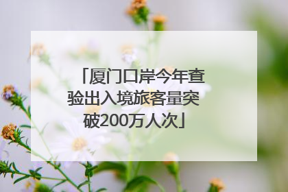 厦门口岸今年查验出入境旅客量突破200万人次