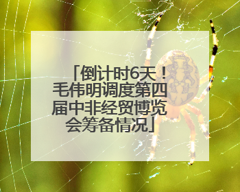 倒计时6天！毛伟明调度第四届中非经贸博览会筹备情况