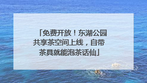 免费开放！东湖公园共享茶空间上线，自带茶具就能泡茶话仙