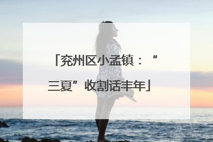兖州区小孟镇：“三夏”收割话丰年