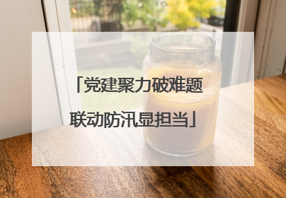 党建聚力破难题 联动防汛显担当