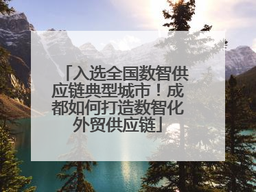入选全国数智供应链典型城市！成都如何打造数智化外贸供应链