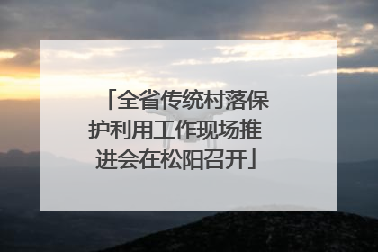 全省传统村落保护利用工作现场推进会在松阳召开