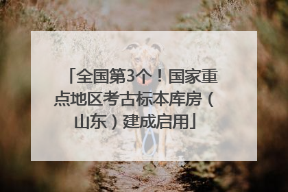 全国第3个！国家重点地区考古标本库房（山东）建成启用