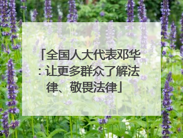 全国人大代表邓华：让更多群众了解法律、敬畏法律