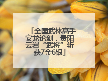 全国武林高手安龙论剑，贵阳云岩“武将”斩获7金6银