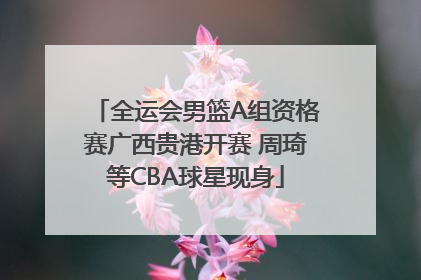全运会男篮A组资格赛广西贵港开赛 周琦等CBA球星现身