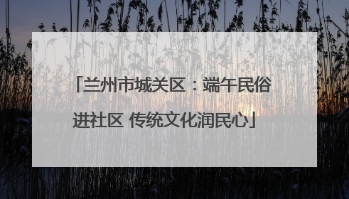 兰州市城关区：端午民俗进社区 传统文化润民心