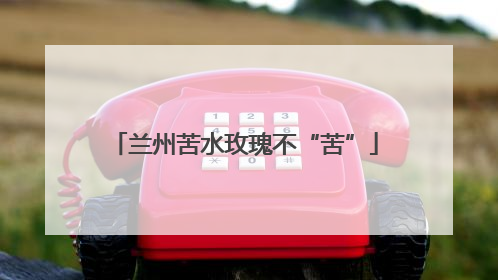 兰州苦水玫瑰不“苦”