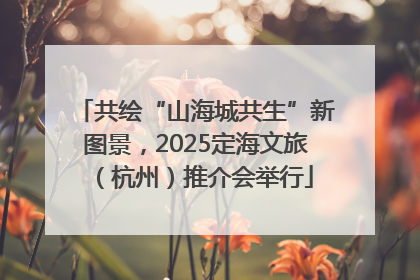 共绘“山海城共生”新图景，2025定海文旅（杭州）推介会举行