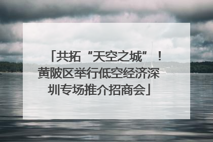 共拓“天空之城”！黄陂区举行低空经济深圳专场推介招商会
