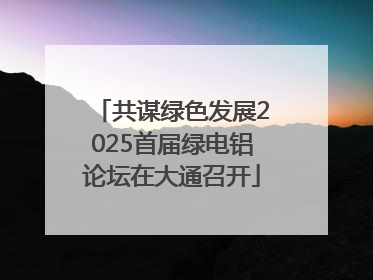 共谋绿色发展2025首届绿电铝论坛在大通召开