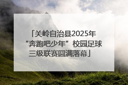 关岭自治县2025年“奔跑吧少年”校园足球三级联赛圆满落幕