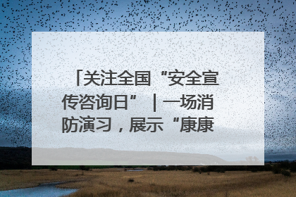关注全国“安全宣传咨询日”｜一场消防演习，展示“康康”应急实力
