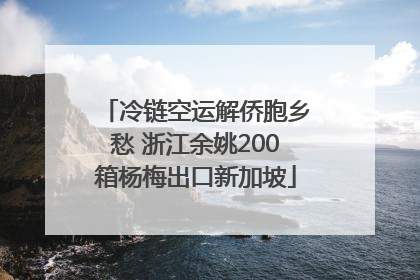 冷链空运解侨胞乡愁 浙江余姚200箱杨梅出口新加坡