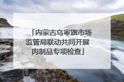 内蒙古乌审旗市场监管局联动共同开展肉制品专项检查