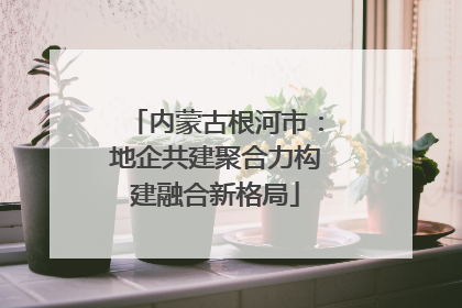 内蒙古根河市：地企共建聚合力构建融合新格局