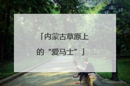 内蒙古草原上的“爱马士”