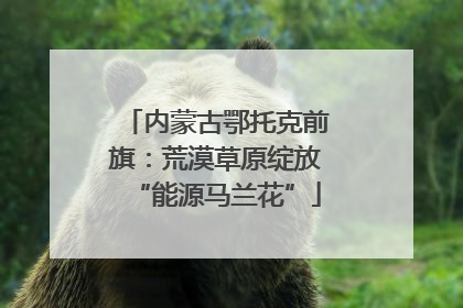 内蒙古鄂托克前旗：荒漠草原绽放“能源马兰花”