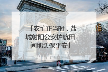 农忙正当时，盐城射阳公安护航田间地头保平安