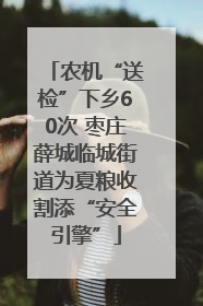 农机“送检”下乡60次 枣庄薛城临城街道为夏粮收割添“安全引擎”