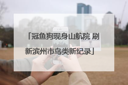 冠鱼狗现身山航院 刷新滨州市鸟类新纪录