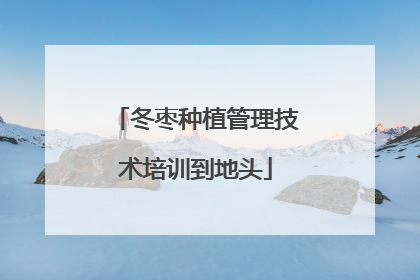 冬枣种植管理技术培训到地头
