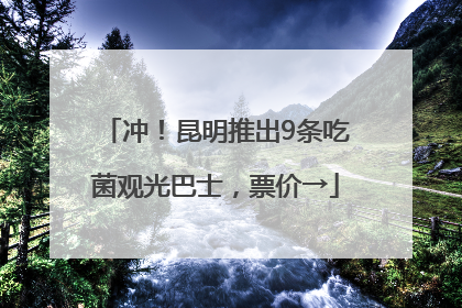 冲！昆明推出9条吃菌观光巴士，票价→