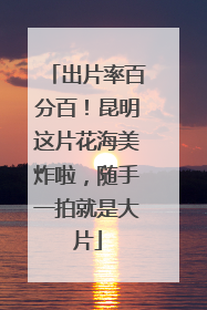 出片率百分百！昆明这片花海美炸啦，随手一拍就是大片