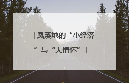 凤溪地的“小经济”与“大情怀”