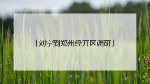 刘宁到郑州经开区调研