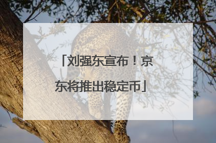 刘强东宣布！京东将推出稳定币