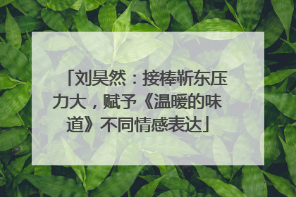 刘昊然：接棒靳东压力大，赋予《温暖的味道》不同情感表达