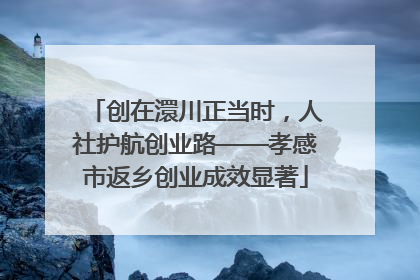 创在澴川正当时，人社护航创业路——孝感市返乡创业成效显著